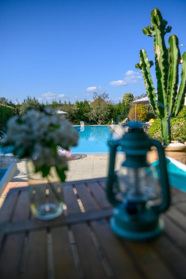 Le Mas De La Source Bed & Breakfast Mougins Exterior photo