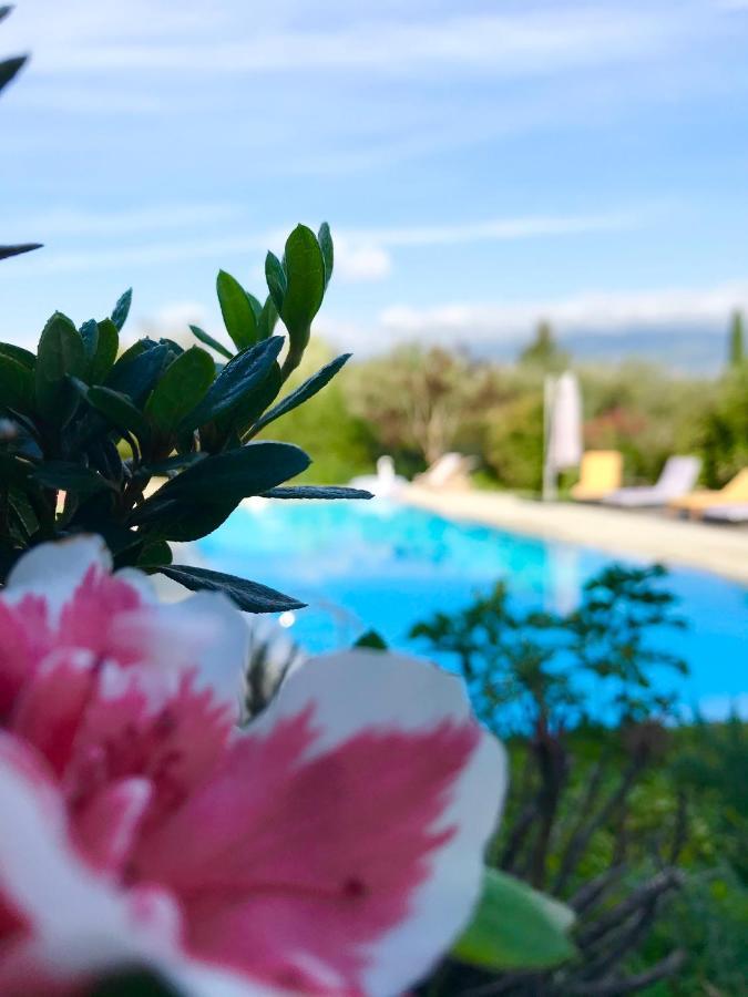 Le Mas De La Source Bed & Breakfast Mougins Exterior photo