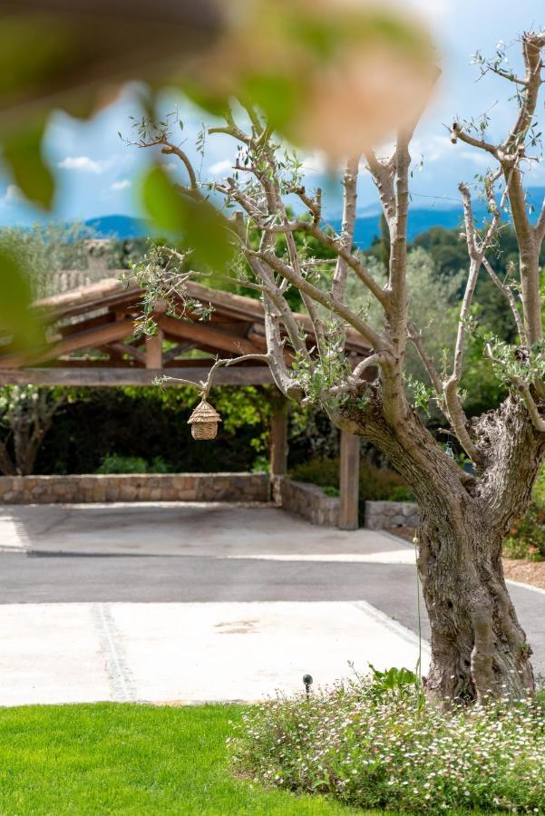 Le Mas De La Source Bed & Breakfast Mougins Exterior photo